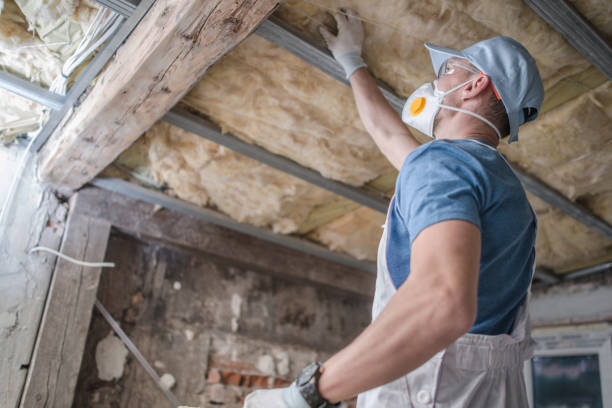 Best Eco-Friendly Insulation in Lake City, PA