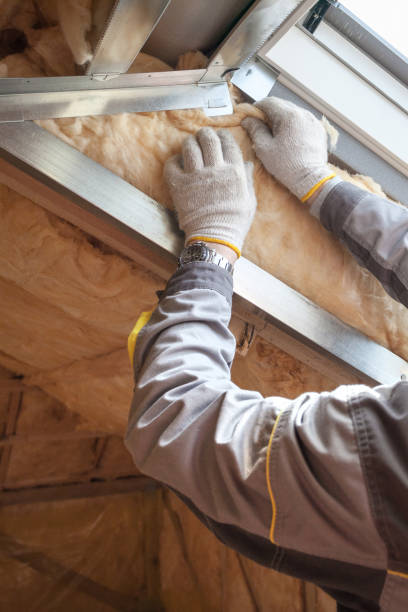Best Specialized Insulation Services in Lake City, PA