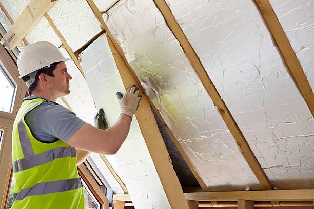 Best Geographic-Specific Insulation Services in Lake City, PA